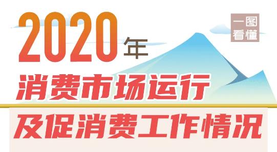 2020年消费市场运行及促消费工作情况